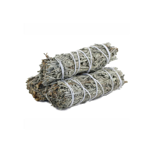 Blue-Sage-4