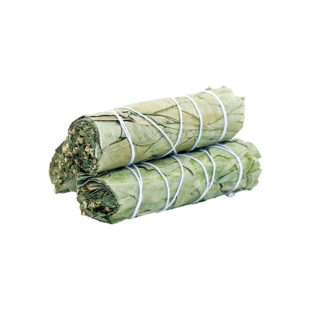 Eucalyptus-Sage-4"