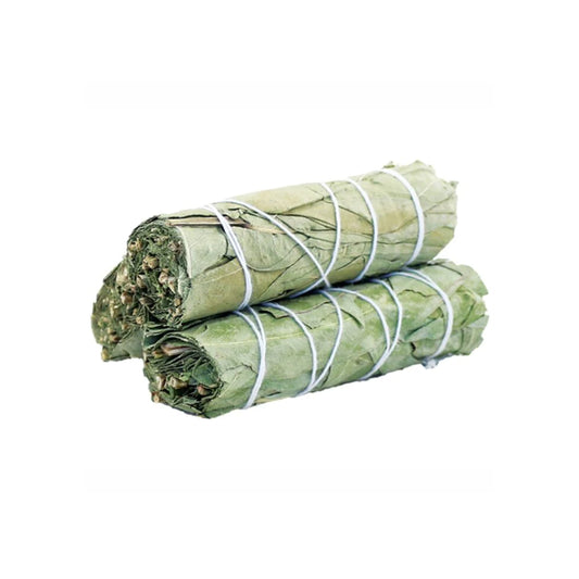 Eucalyptus-Sage-4"