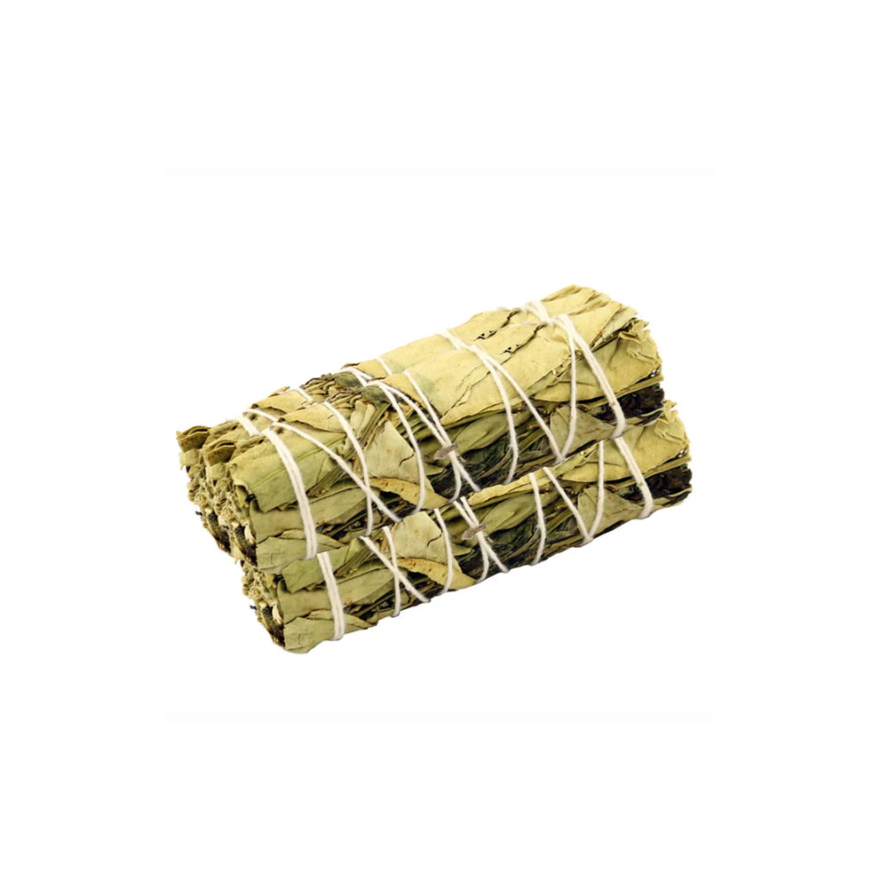 Lemon-&-Peppermint-Sage-4