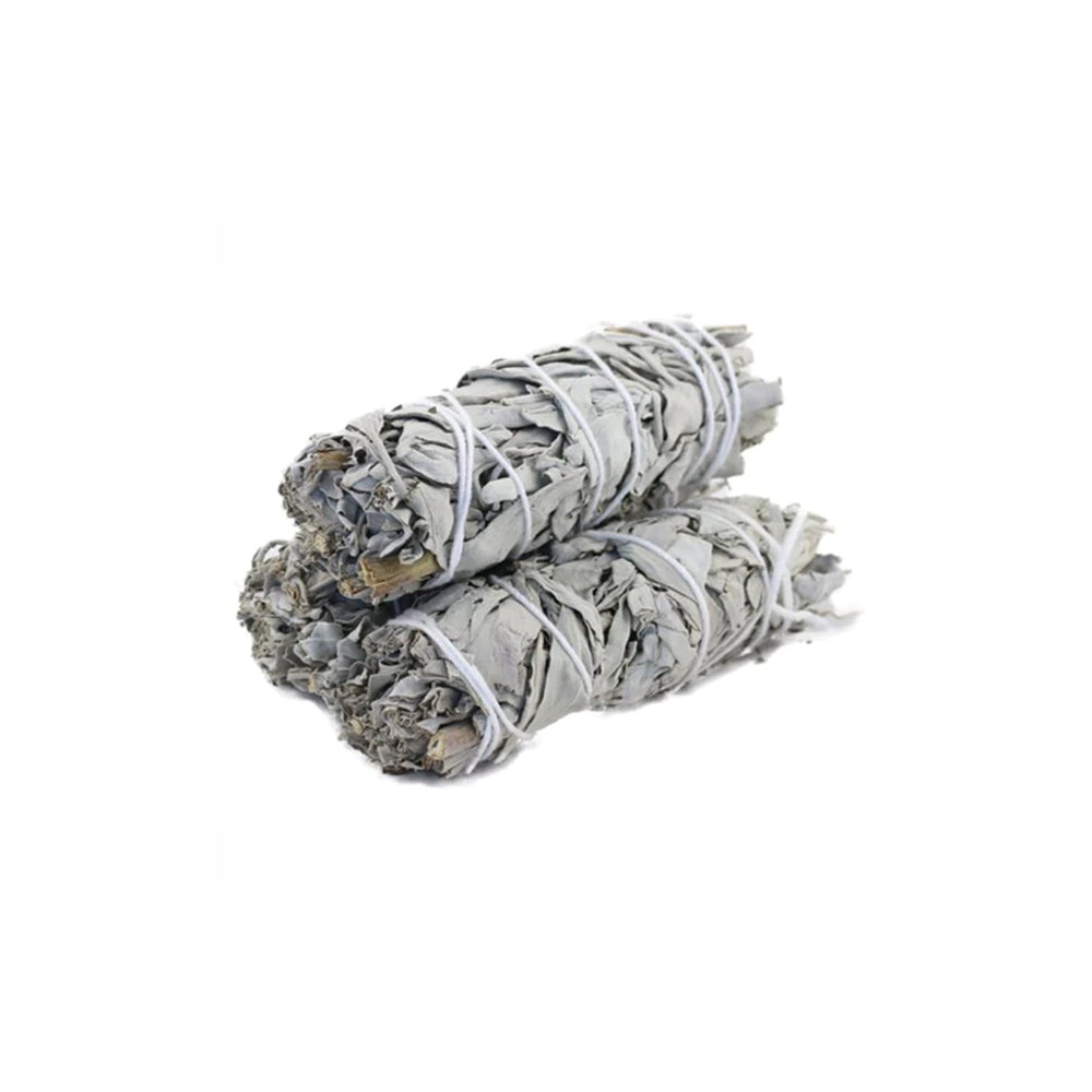 White Sage 5"