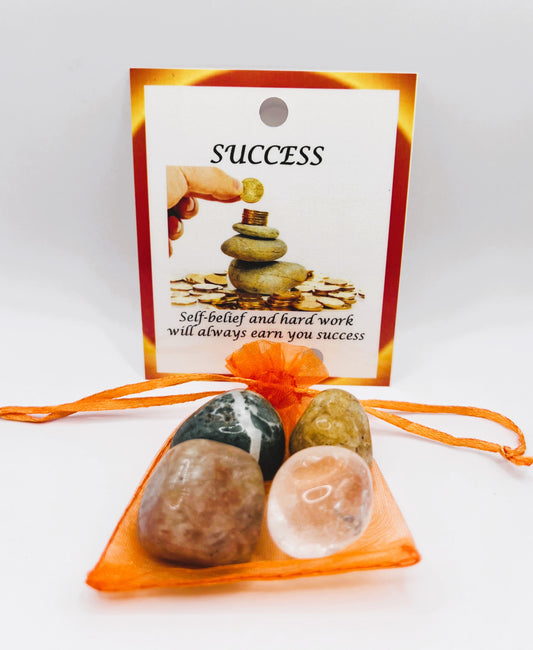 Success Crystal Healing Bag