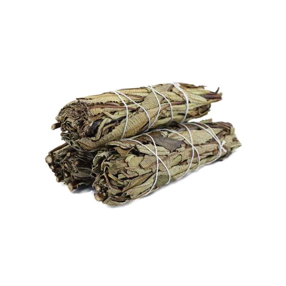 Yerba-Santa-Sage-4