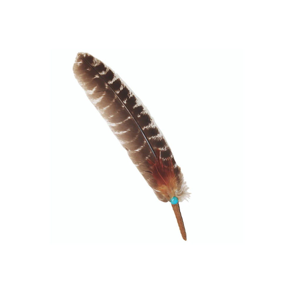 Turquoise-Feather