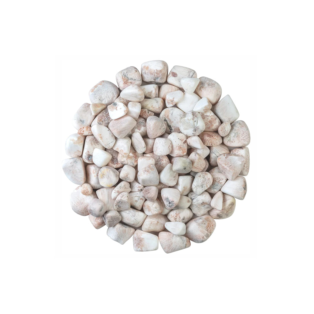 Scolecite