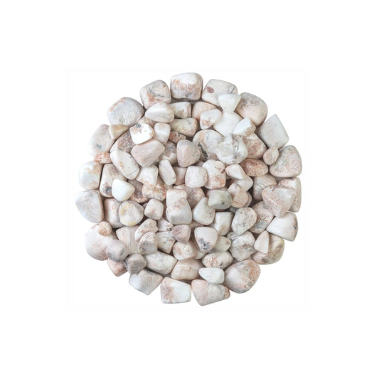 Scolecite