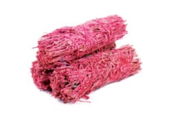 Rose Sage 4"