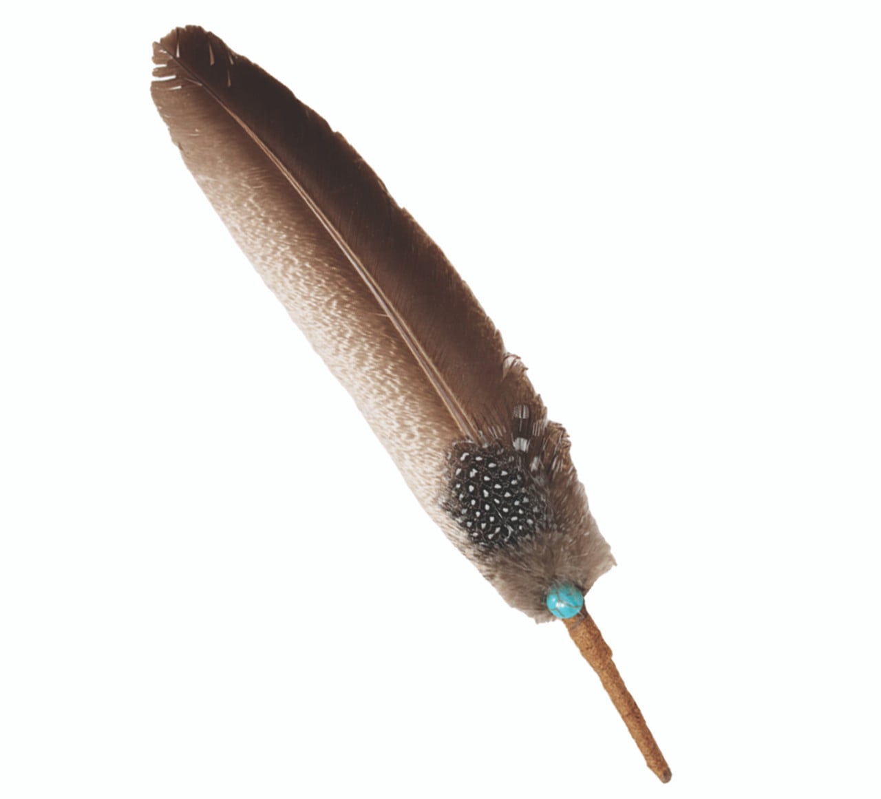 Turquoise-Feather