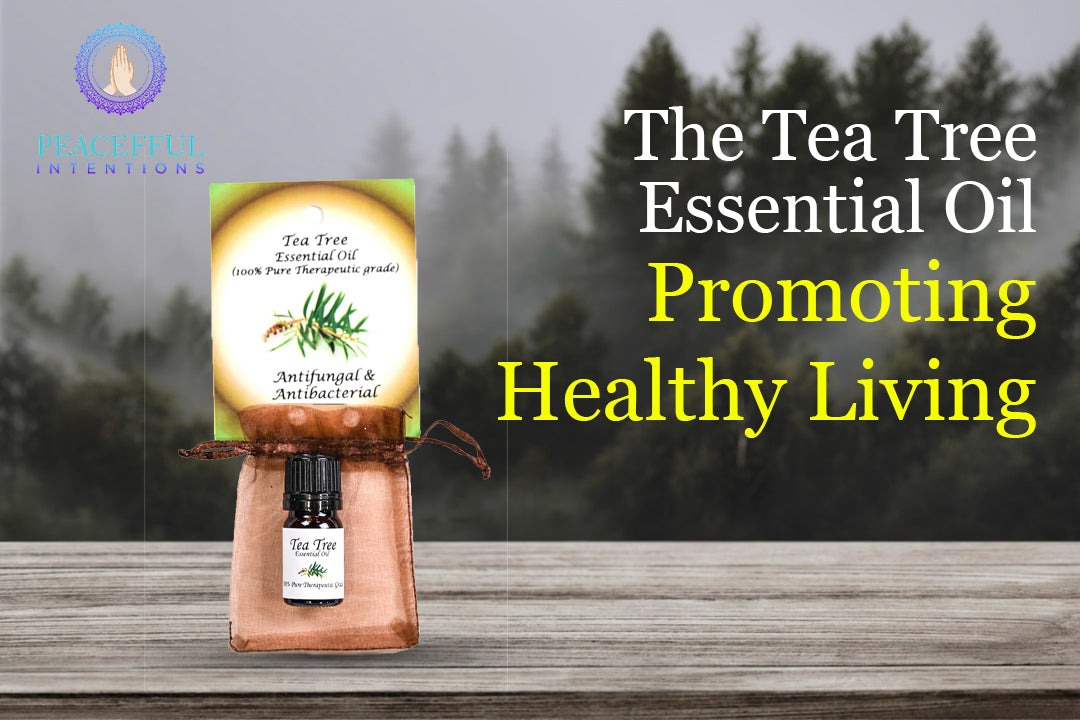 The Tea Tree Essential Oil: Promoting Healthy Living